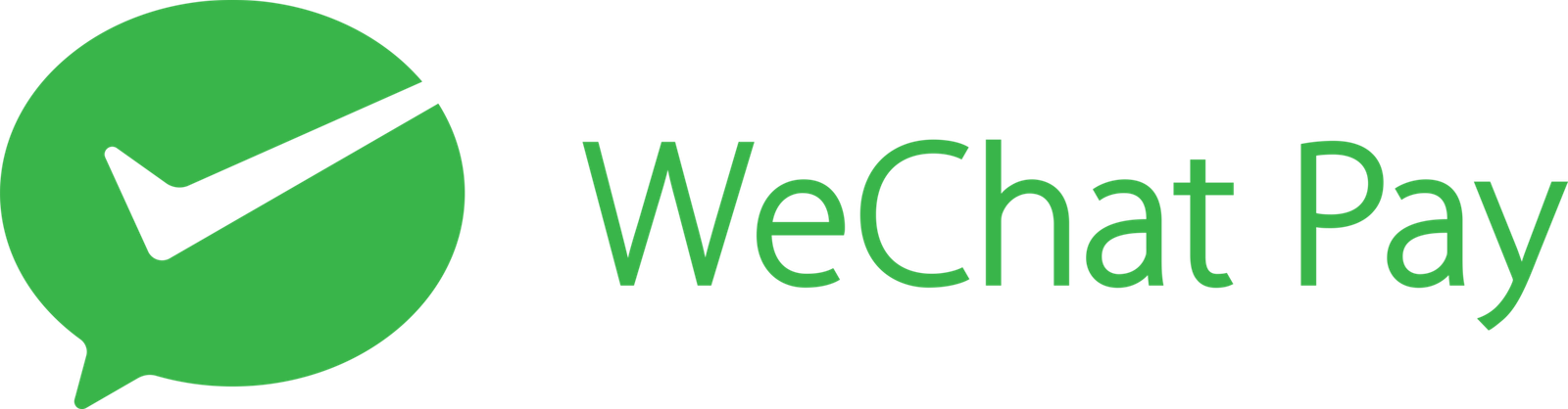 WeChat Pay